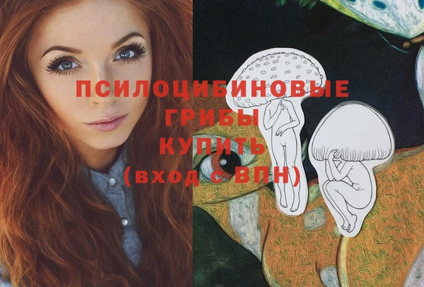 скорость Зеленодольск